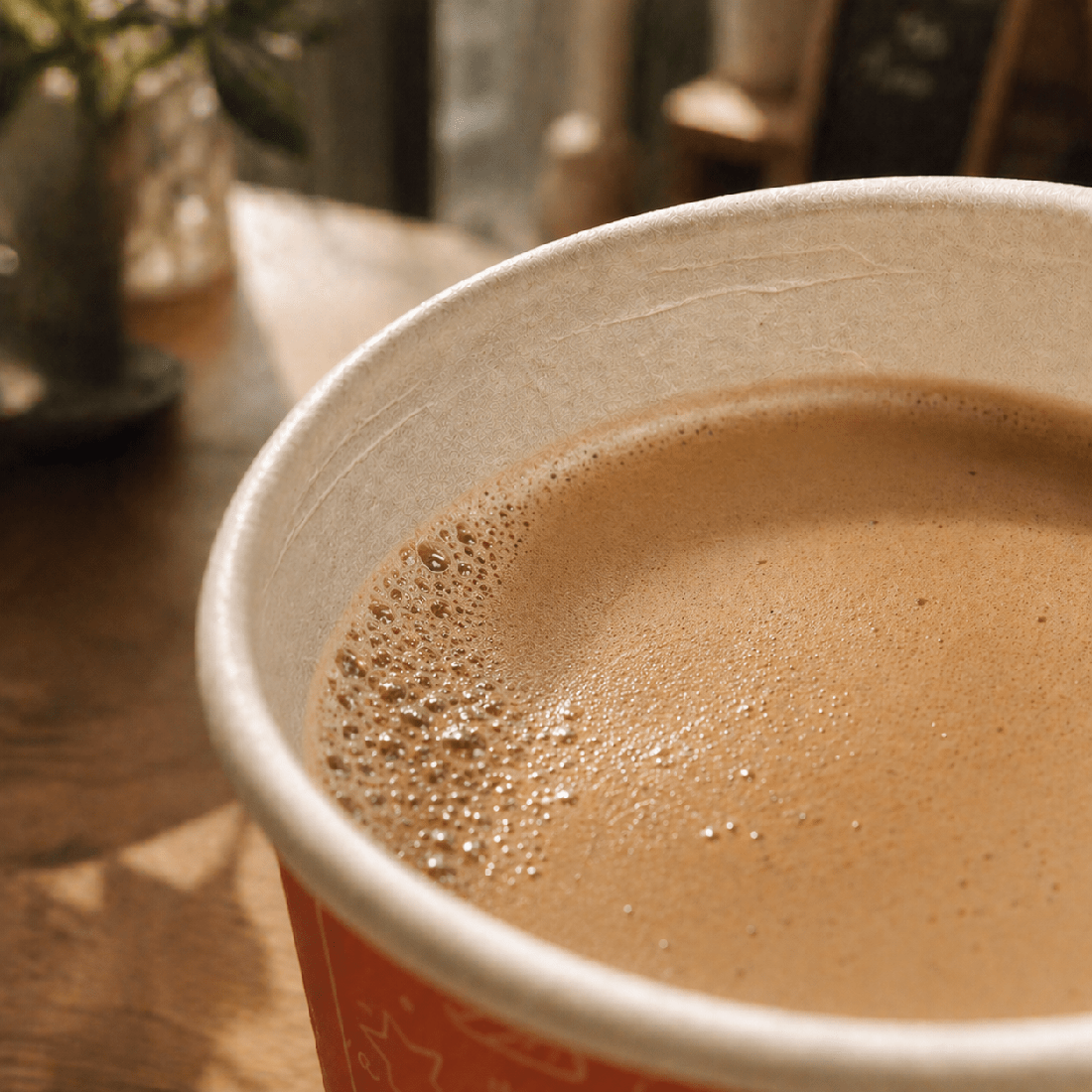 Are P2P paper coffee cups recyclable? What you need to know in 2026
